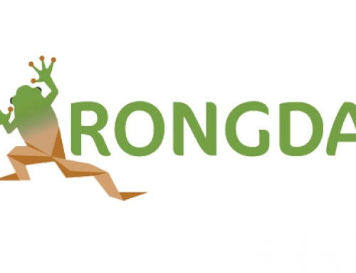 Rongda Recycling Logo